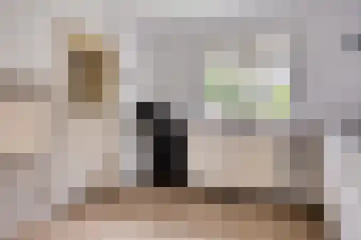 Dennenkamp 27 Apeldoorn thumbnail 12