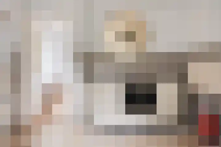Dennenkamp 27 Apeldoorn thumbnail 14