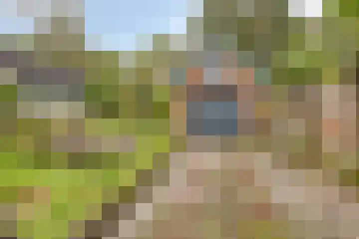Dennenkamp 27 Apeldoorn thumbnail 28