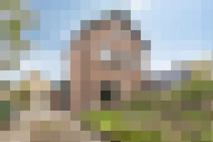 Dennenkamp 27 Apeldoorn thumbnail 29
