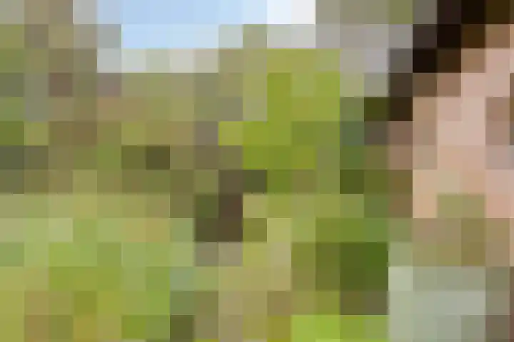 Dennenkamp 27 Apeldoorn thumbnail 30