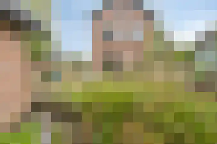 Dennenkamp 27 Apeldoorn thumbnail 31