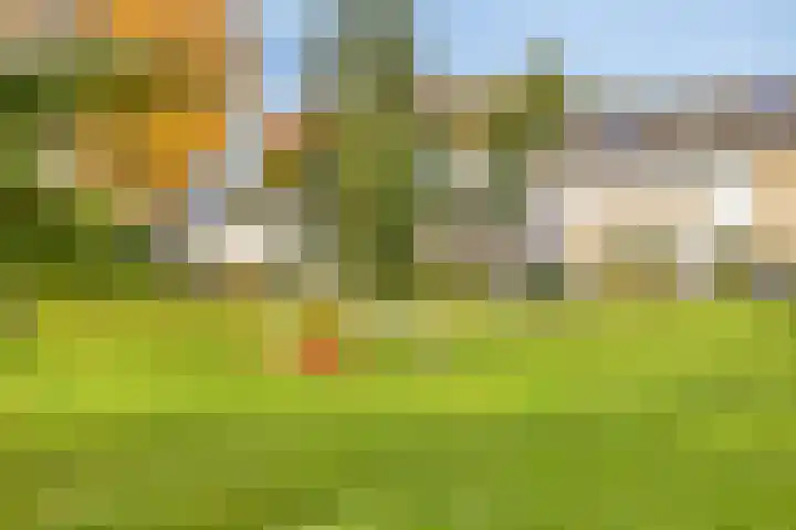 Dennenkamp 27 Apeldoorn thumbnail 32