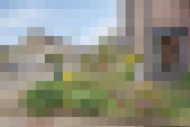 Dennenkamp 27 Apeldoorn thumbnail 4
