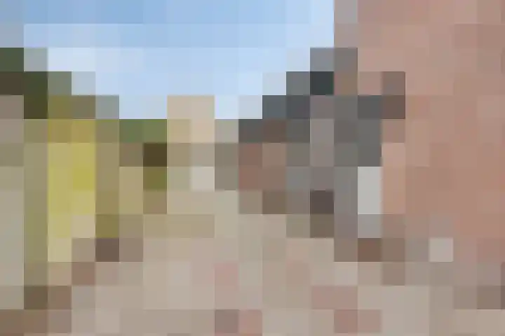 Dennenkamp 27 Apeldoorn thumbnail 6