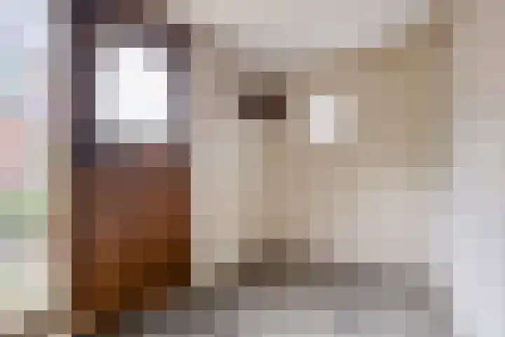 Dennenkamp 27 Apeldoorn thumbnail 7