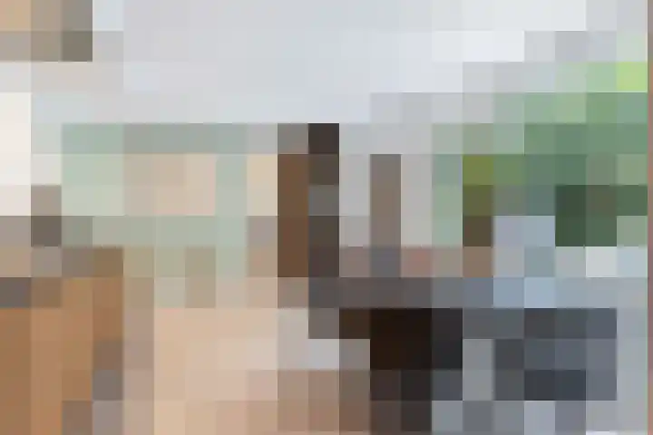 Dennenlaan 1 Apeldoorn thumbnail 13