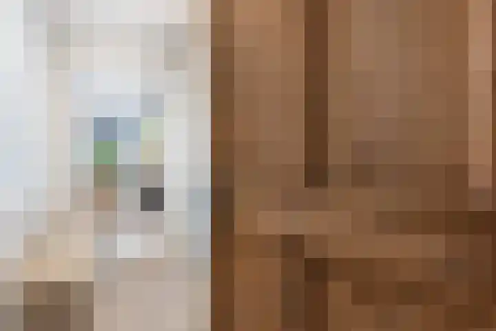Dennenlaan 1 Apeldoorn thumbnail 14