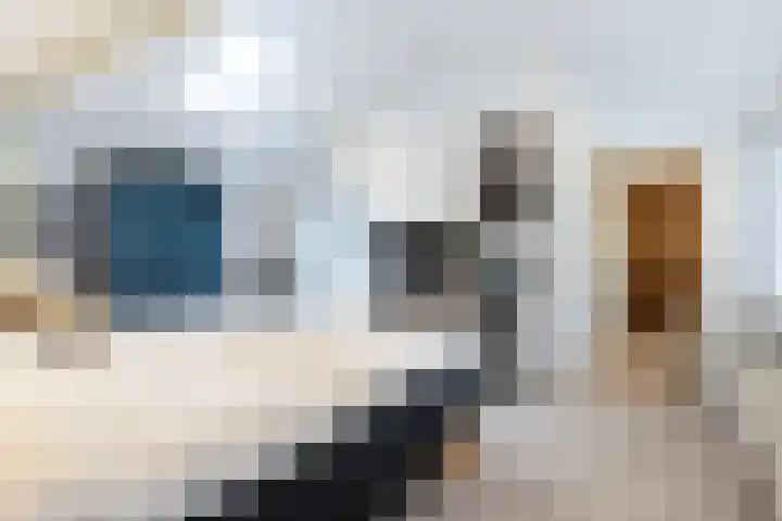 Dennenlaan 1 Apeldoorn thumbnail 17
