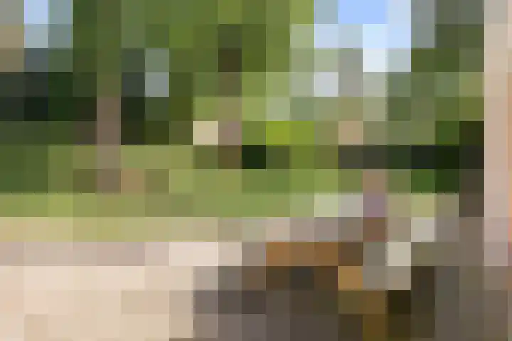 Dennenlaan 1 Apeldoorn thumbnail 26