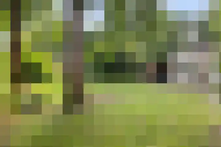 Dennenlaan 1 Apeldoorn thumbnail 27