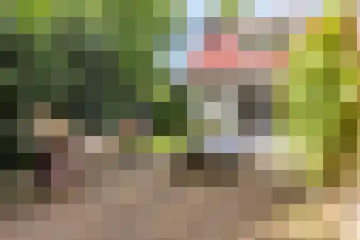 Dennenlaan 1 Apeldoorn thumbnail 29