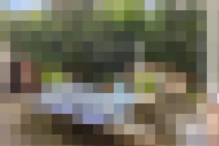Dennenlaan 1 Apeldoorn thumbnail 30