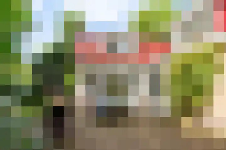 Dennenlaan 1 Apeldoorn thumbnail 31