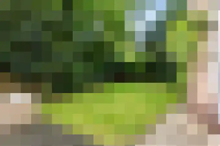 Dennenlaan 1 Apeldoorn thumbnail 32