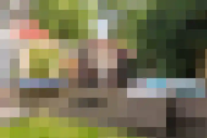 Dennenlaan 1 Apeldoorn thumbnail 33