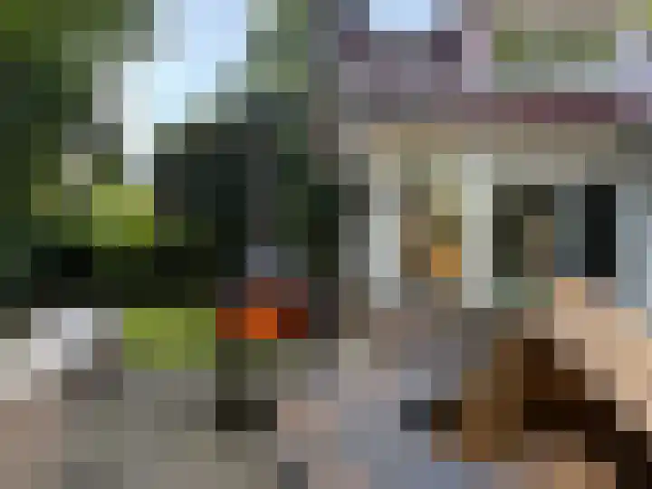 Dennenlaan 1 Apeldoorn thumbnail 34