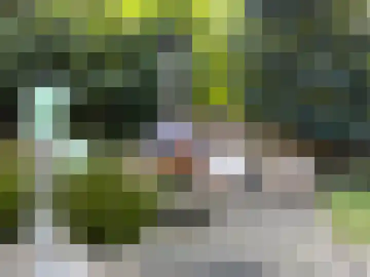 Dennenlaan 1 Apeldoorn thumbnail 35