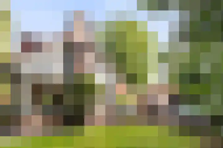 Dennenlaan 1 Apeldoorn thumbnail 36