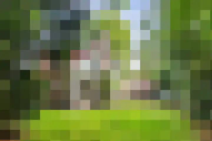 Dennenlaan 1 Apeldoorn thumbnail 37