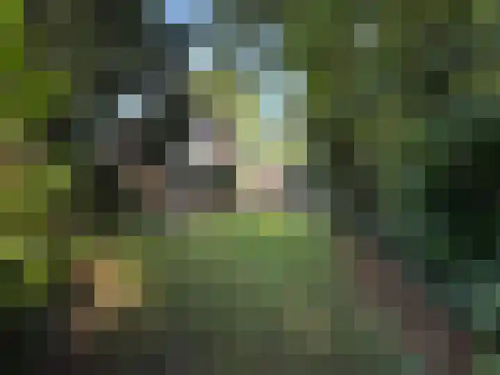 Dennenlaan 1 Apeldoorn thumbnail 38