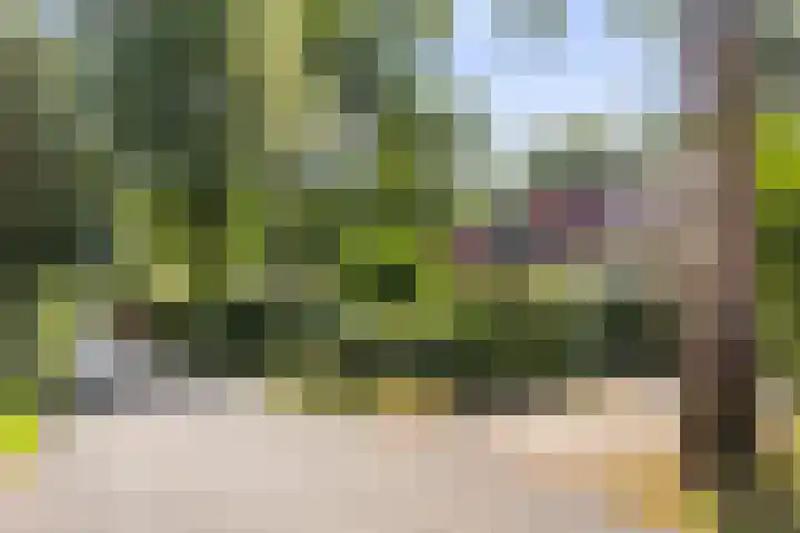 Dennenlaan 1 Apeldoorn thumbnail 39