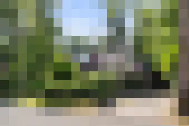 Dennenlaan 1 Apeldoorn thumbnail 40