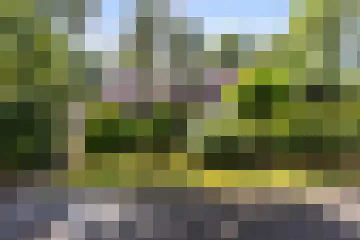 Dennenlaan 1 Apeldoorn thumbnail 41