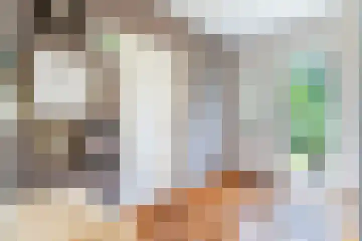 Dennenlaan 1 Apeldoorn thumbnail 42
