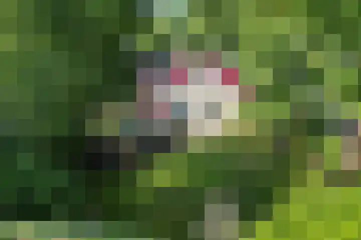 Dennenlaan 1 Apeldoorn thumbnail 57