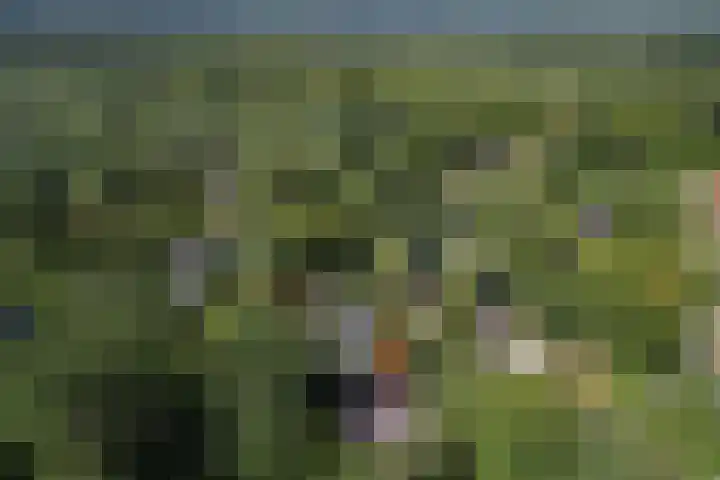 Dennenlaan 1 Apeldoorn thumbnail 58