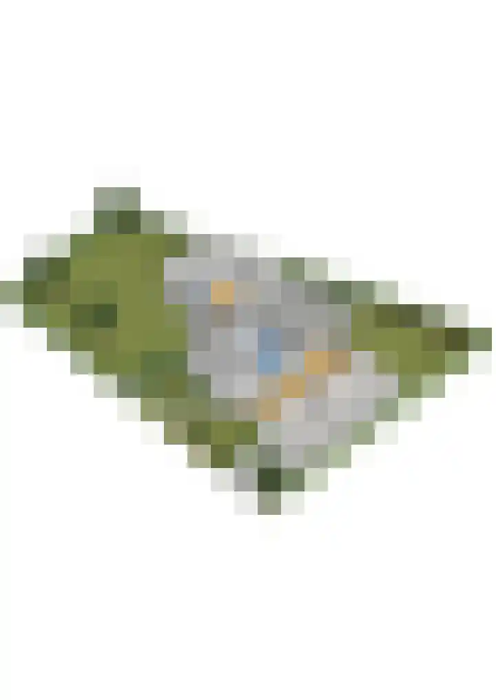 Dennenlaan 1 Apeldoorn thumbnail 64