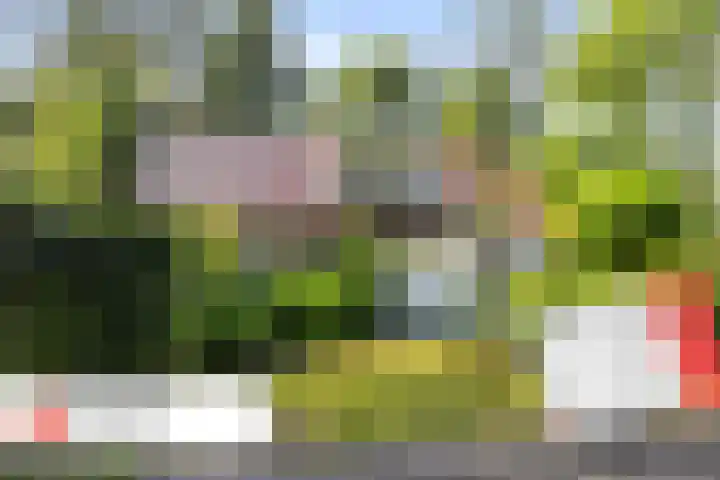 Dennenlaan 1 Apeldoorn thumbnail 67