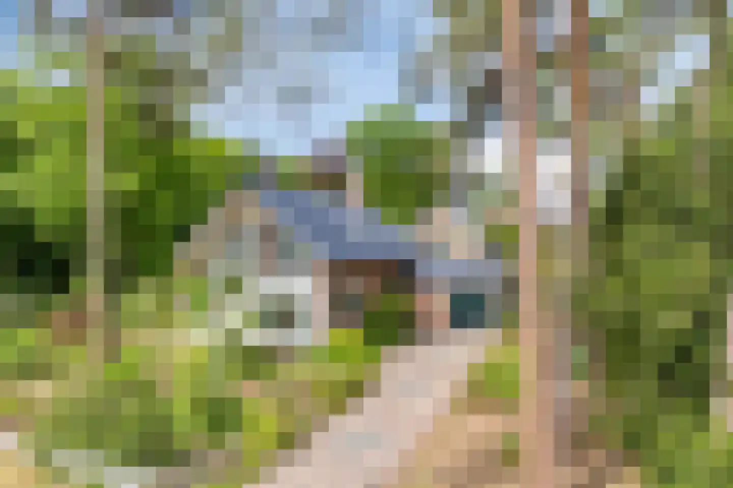 Dennenlaan 1 Barchem