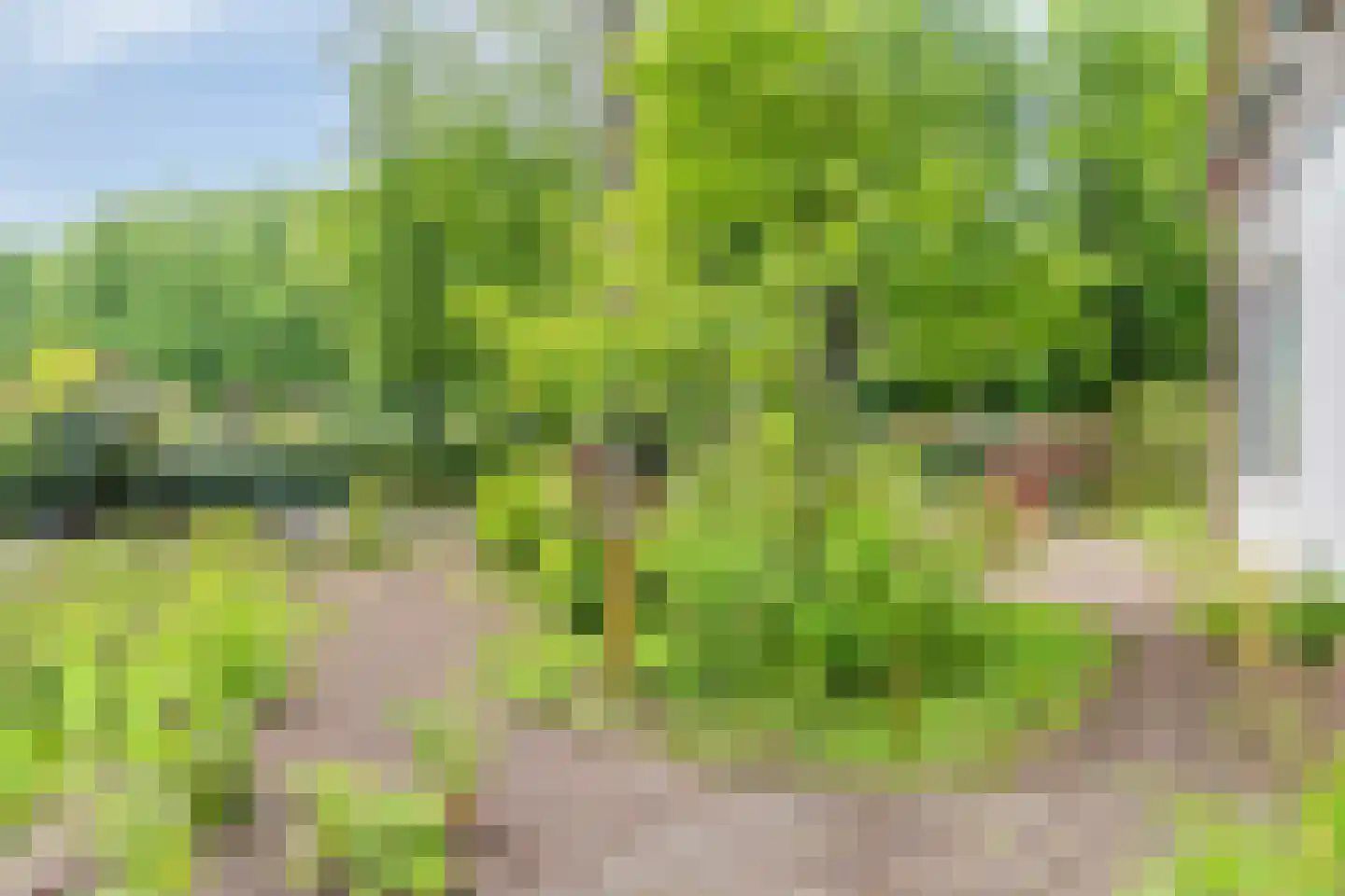 Dennenlaan 1 Barchem thumbnail 32