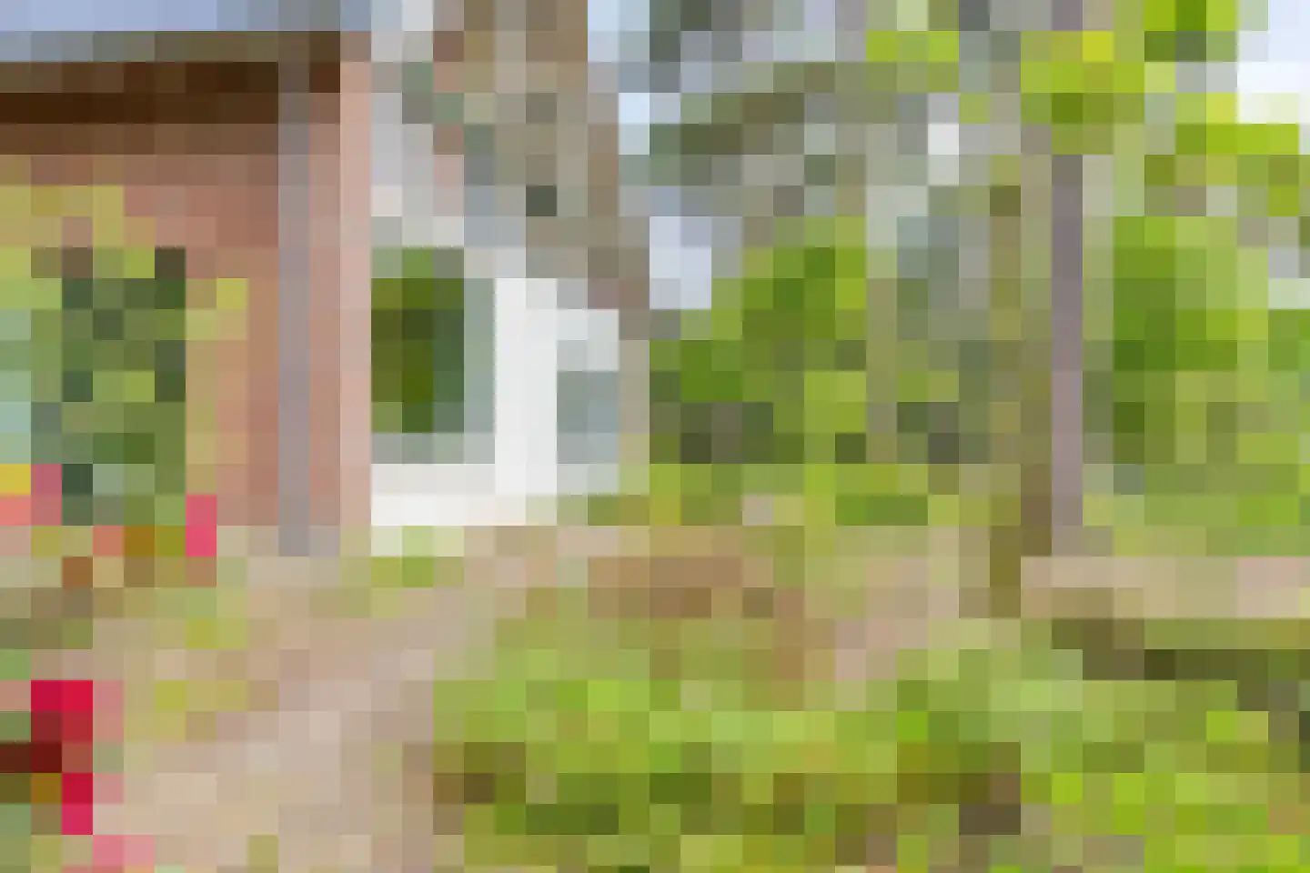 Dennenlaan 1 Barchem thumbnail 33