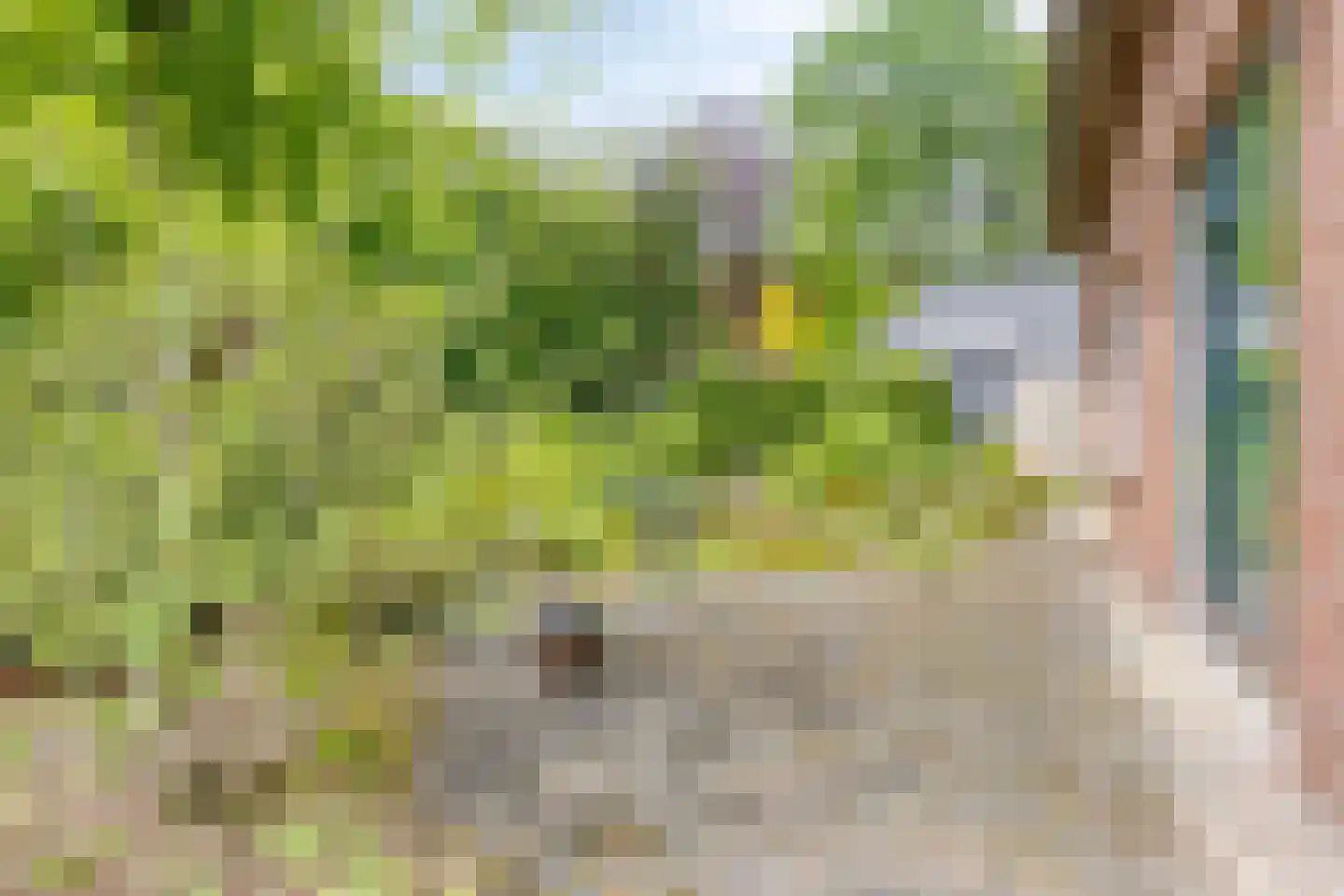 Dennenlaan 1 Barchem thumbnail 34