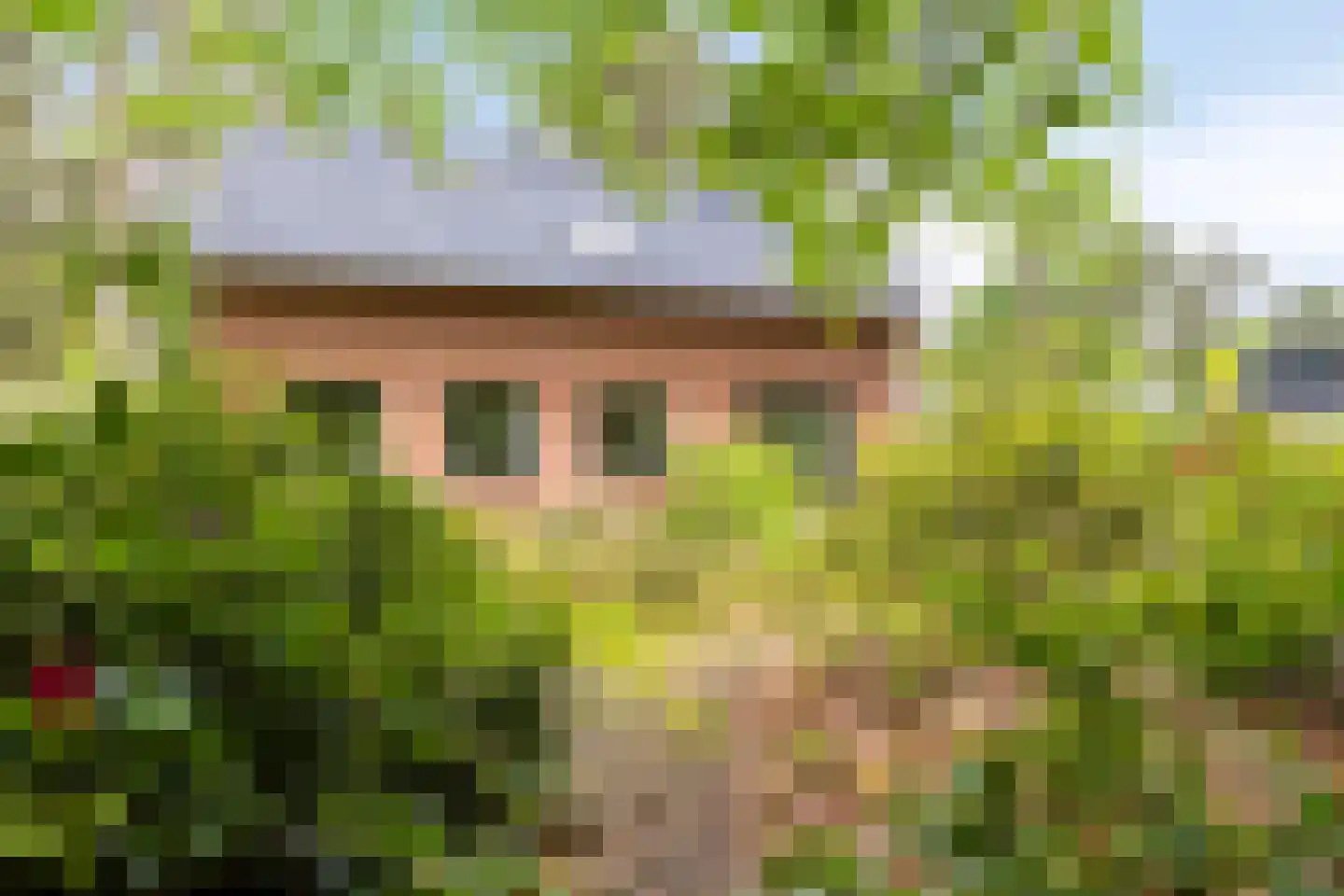 Dennenlaan 1 Barchem thumbnail 36