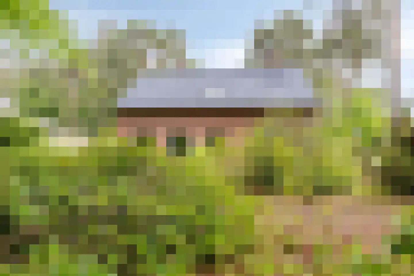 Dennenlaan 1 Barchem thumbnail 37