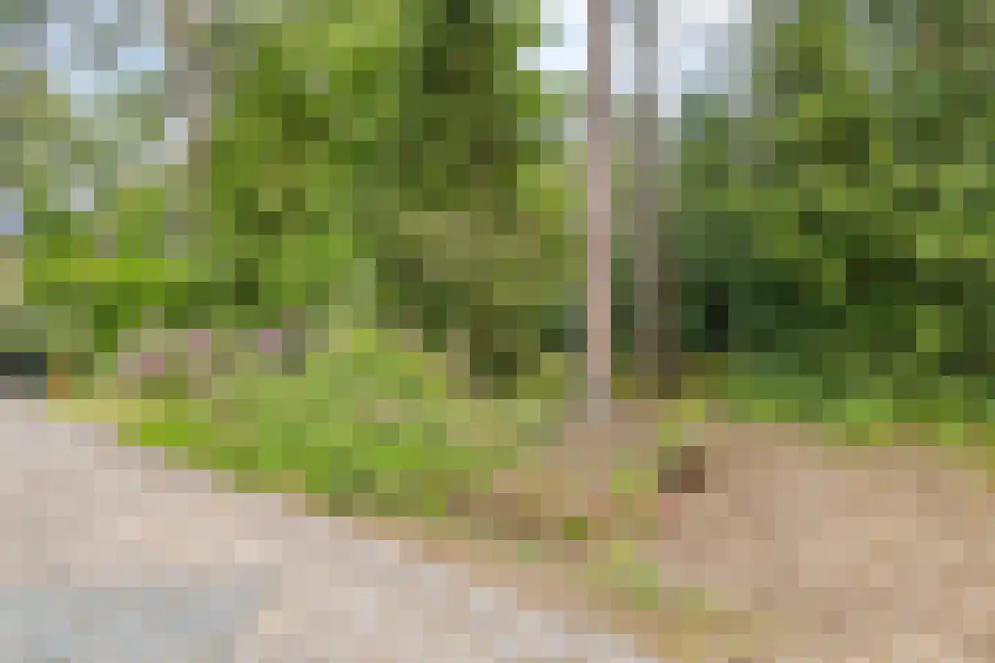 Dennenlaan 1 Barchem thumbnail 38
