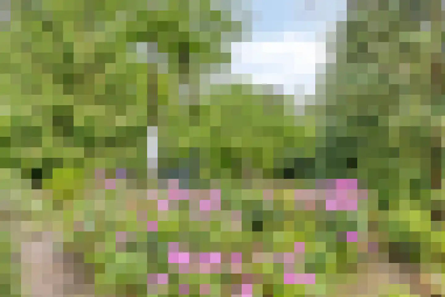 Dennenlaan 1 Barchem thumbnail 39