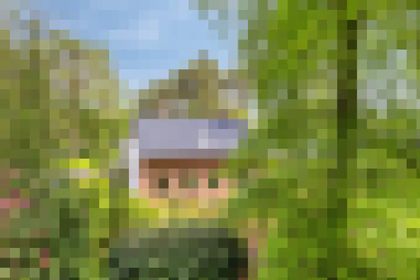 Dennenlaan 1 Barchem thumbnail 4