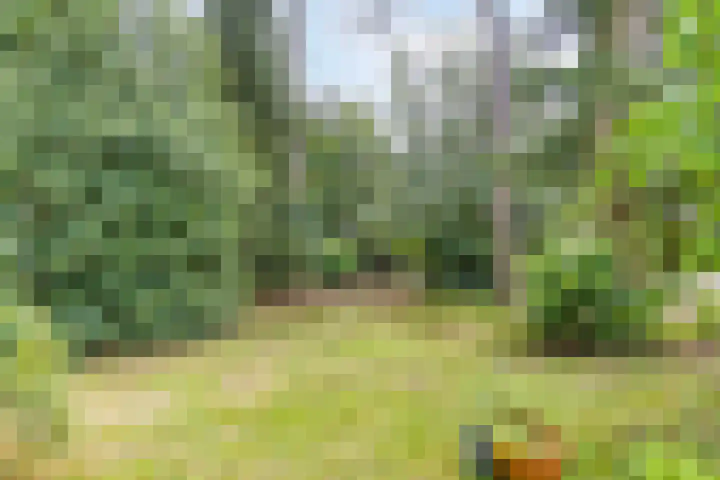 Dennenlaan 1 Barchem thumbnail 40