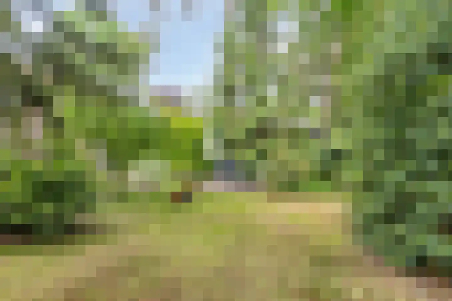 Dennenlaan 1 Barchem thumbnail 41