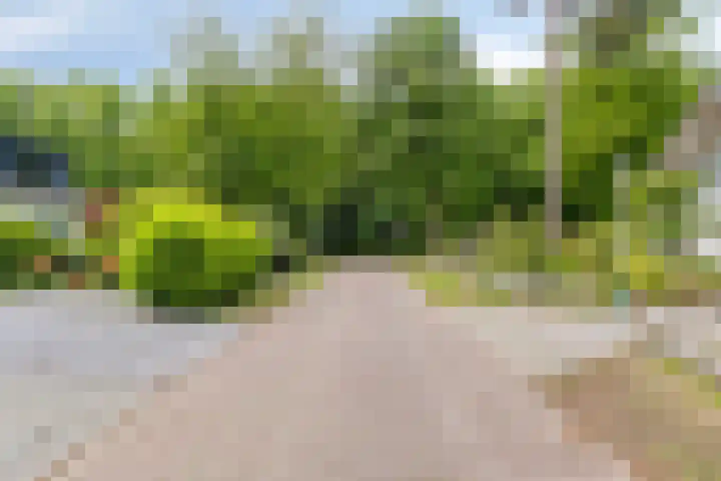Dennenlaan 1 Barchem thumbnail 45