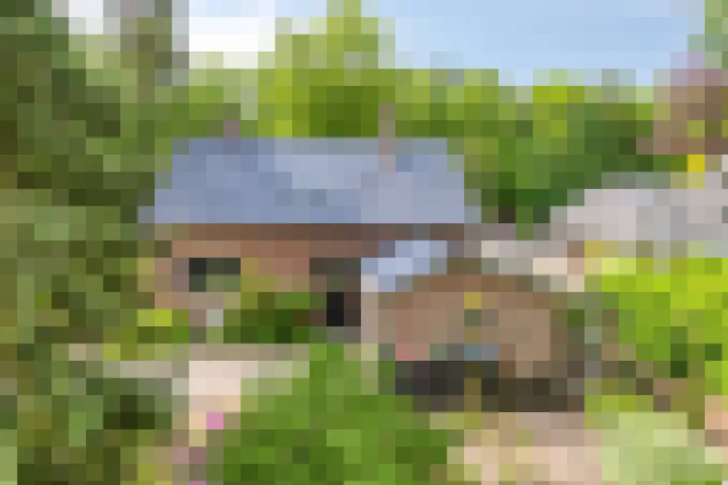 Dennenlaan 1 Barchem thumbnail 5