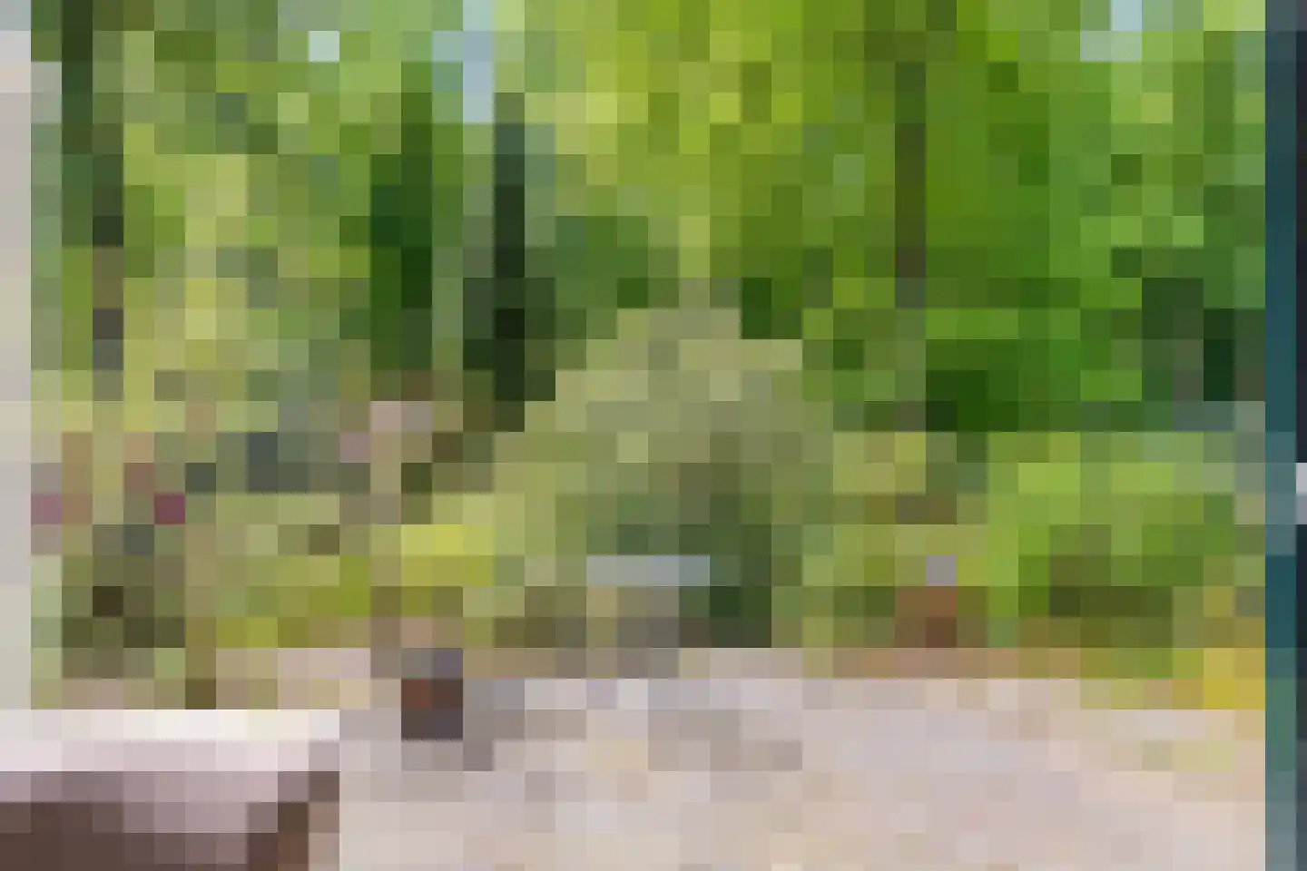 Dennenlaan 1 Barchem thumbnail 9