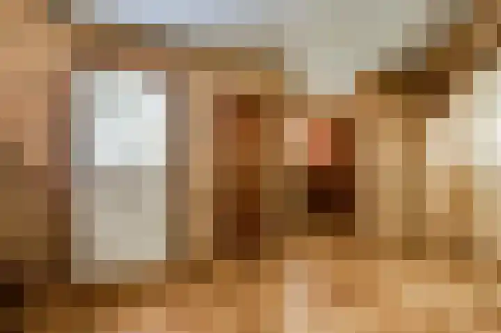 Dennenlaan 1 Maarheeze thumbnail 10