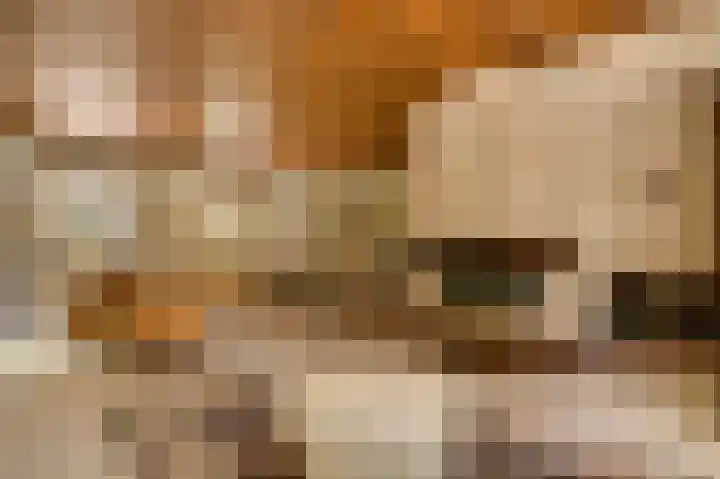 Dennenlaan 1 Maarheeze thumbnail 11