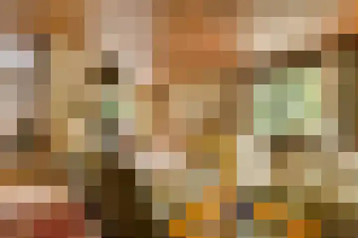 Dennenlaan 1 Maarheeze thumbnail 15
